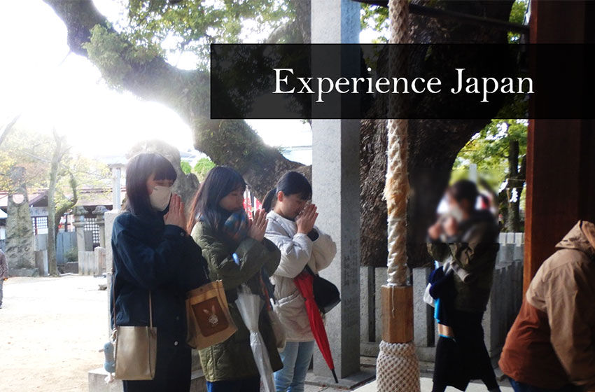 Experience Japan.png