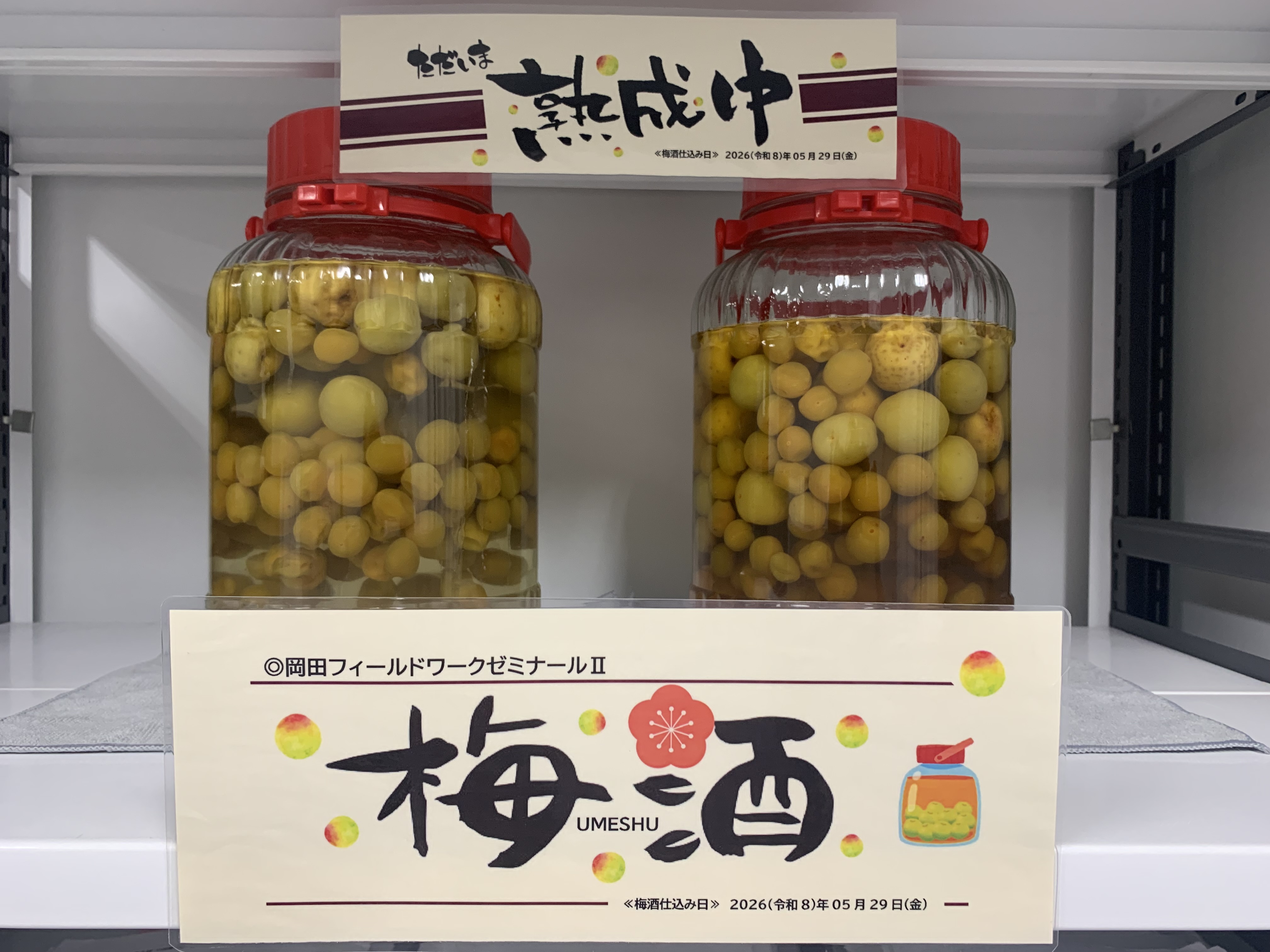 岡田FW_梅酒_2026-7.JPG
