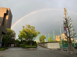 雨上がりのキャンパスに虹！